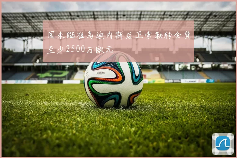 国米瞄准乌迪内斯后卫索勒转会费至少2500万欧元