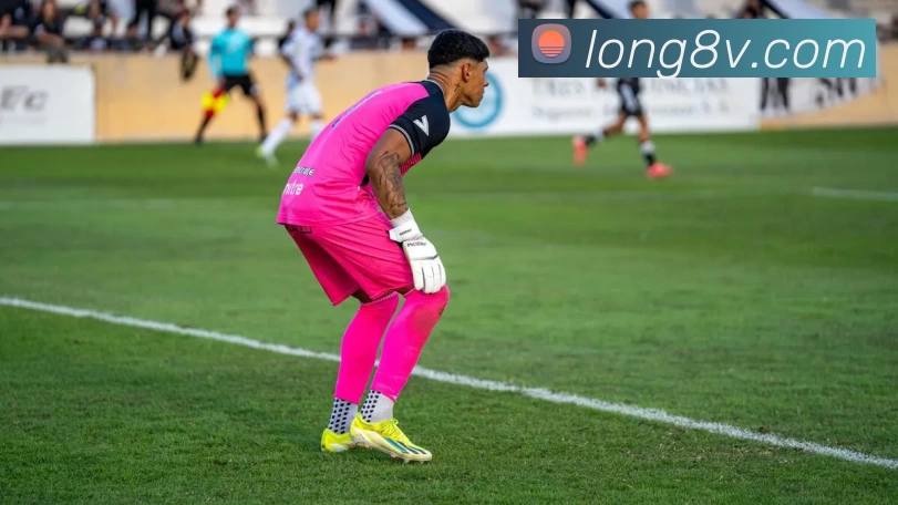 龙8国际游戏平台生态图